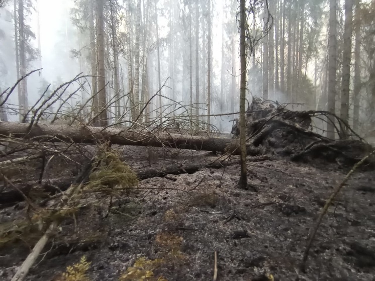 Вологодские лесные пожарные отправились в Ханты-Мансийский автономный округ