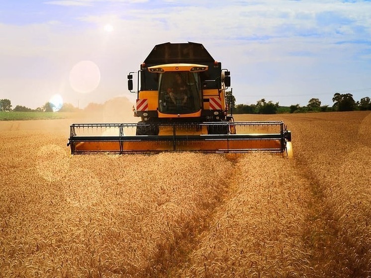 Аграрии Донбасса начали уборочную кампанию