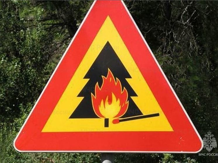 В Орловской области в 4 раза выросло количество природных пожаров