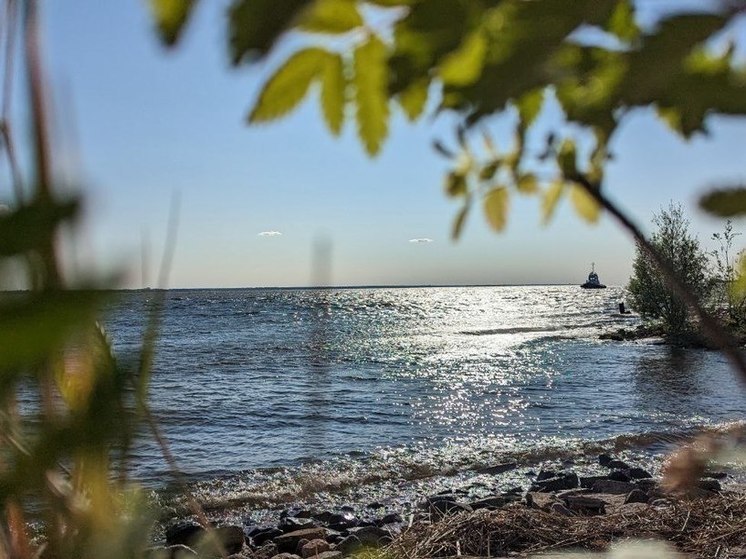 Пригодными для купания в Петербурге оказались только Суздальские озера