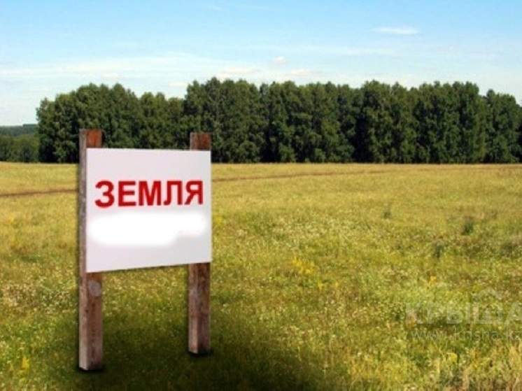 Глава Карелии предложил давать бесплатно землю участникам СВО и лауреатам Ордена Сампо