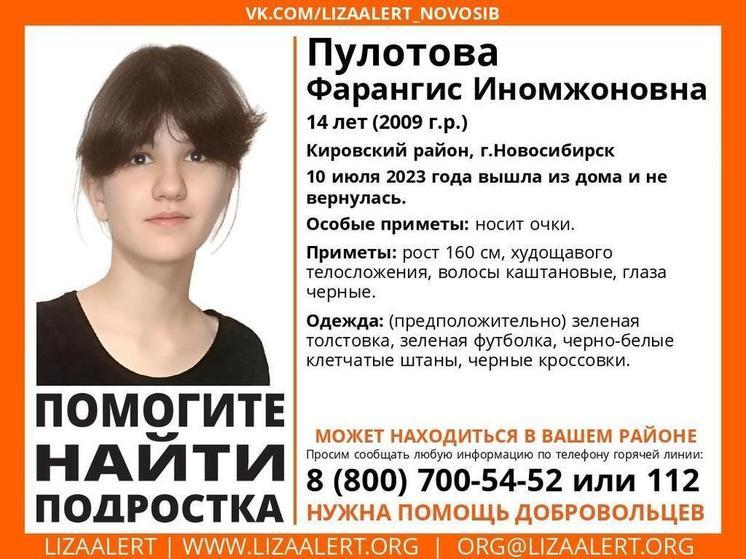 В Кировском районе Новосибирска пропала 14-летняя девочка