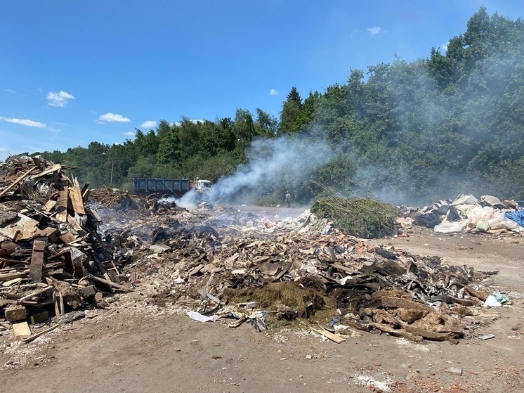 В Часцах и Химках выявили крупные нарушения природоохранного законодательства