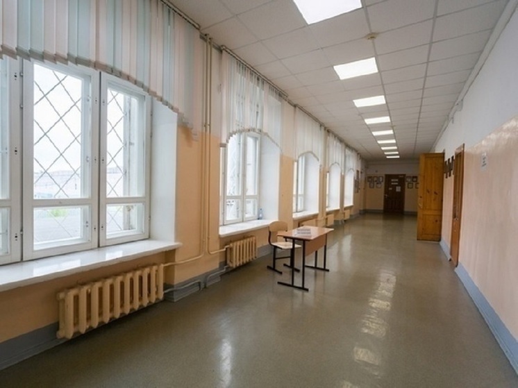 В Новосибирске экс-директор школы №82 прокомментировала массовое увольнение учителей