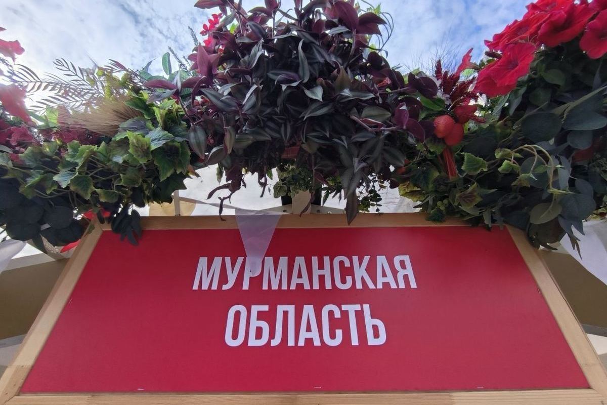 Мурманская область принимает участие в фестивале «Вкусы России»