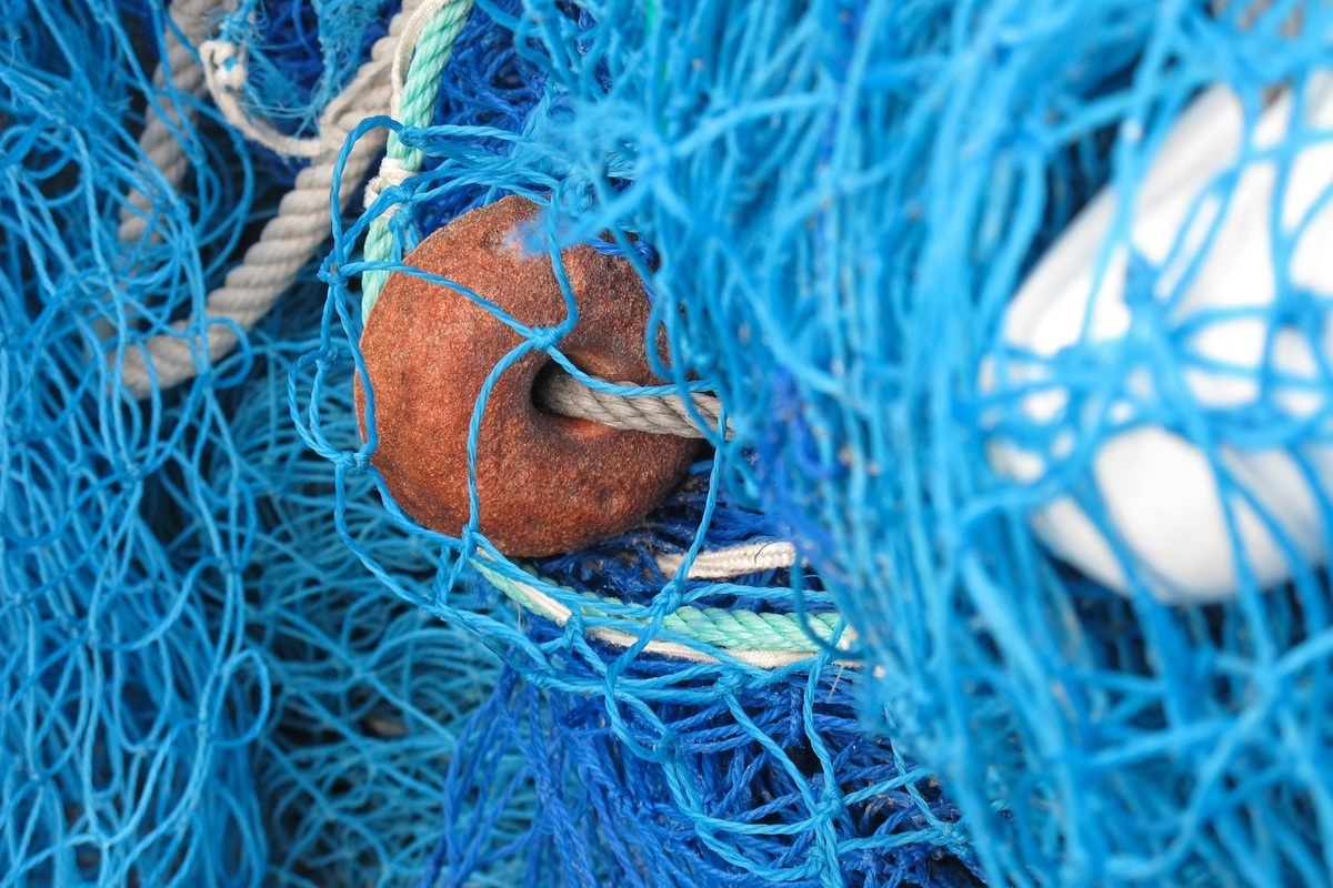 Напуганные судом браконьеры заплатили больше 100 тысяч за ловлю рыбы сетями в Карелии