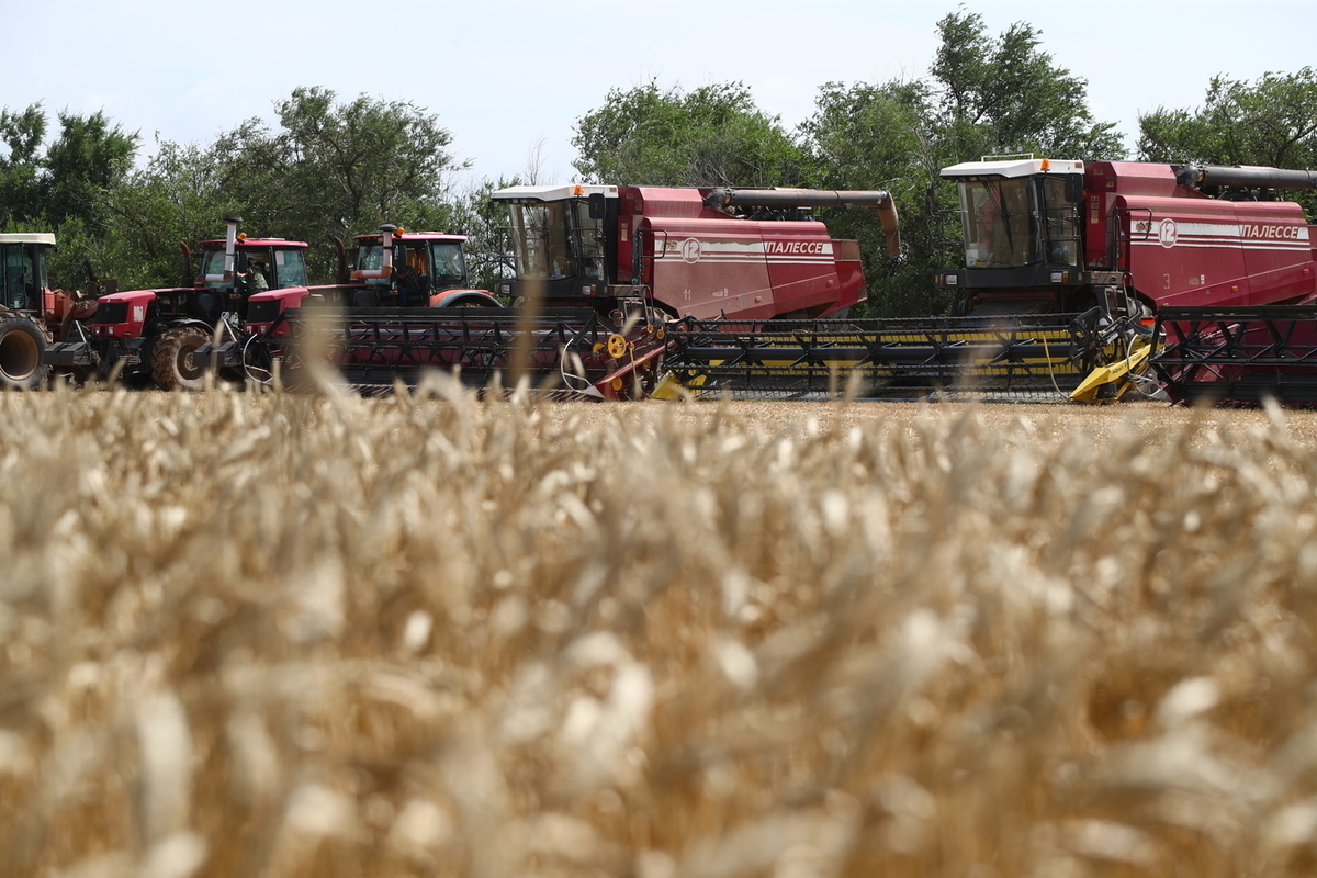 Волгоградские аграрии собрали первый миллион тонн зерна