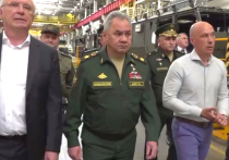 Глава российского военного ведомства Сергей Шойгу 11 июля проинспектировал в Татарстане заводы, выпускающие военную продукцию