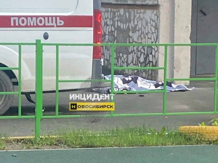 В Новосибирске на Богаткова при падении с высоты насмерть разбилась женщина
