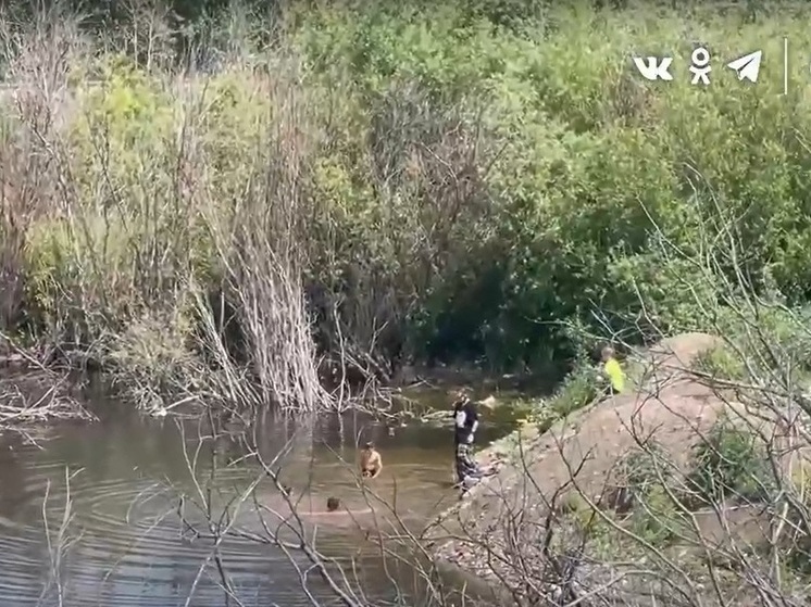 Под Новосибирском дети купаются в огромной луже рядом с федеральной трассой