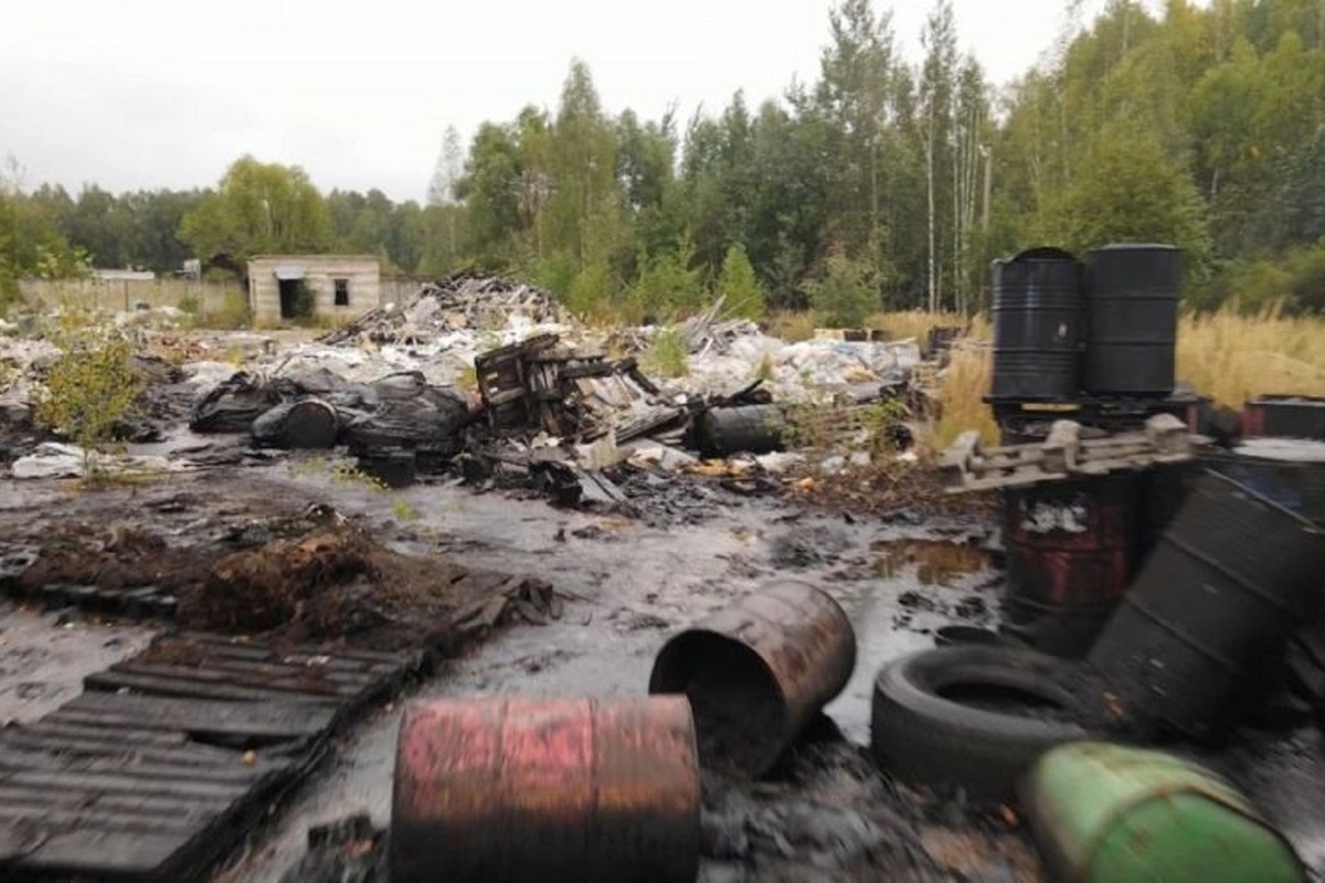В Ярославской области решили судьбу земли, на которой образовалась свалка опасных отходов