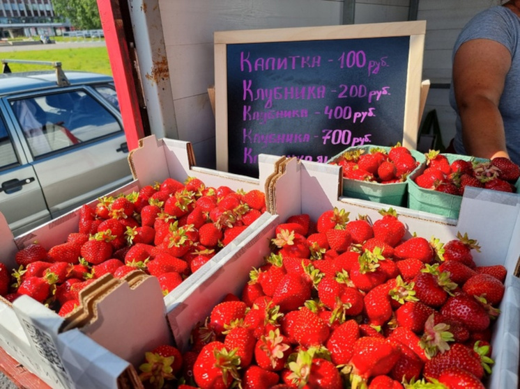 Клубнику продолжают продавать на набережной Петрозаводска