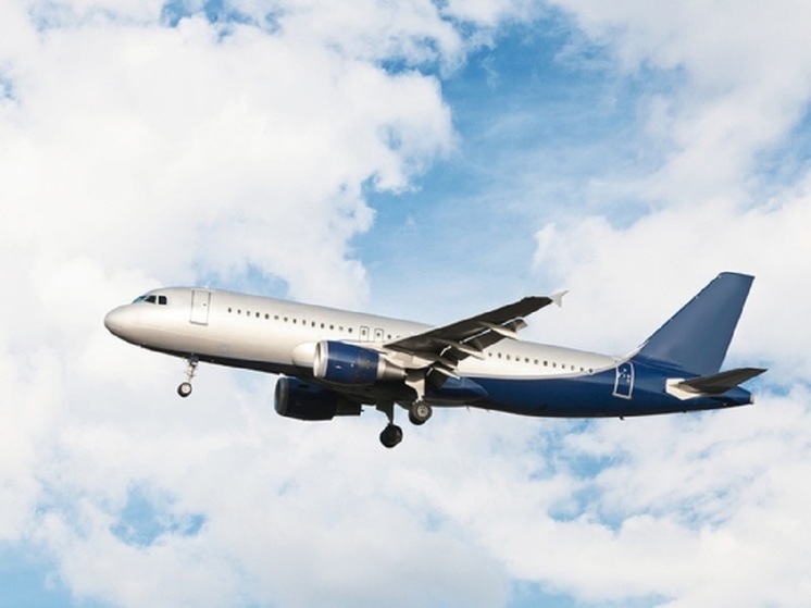Самолёт с 13 детьми экстренно приземлился в Новосибирске
