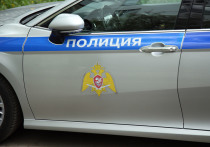 В пресс-службе СУ СК РФ по Омской области сообщили, что у шестилетнего ребенка развилось психическое расстройство после того, как он увидел, как мать убивает отца