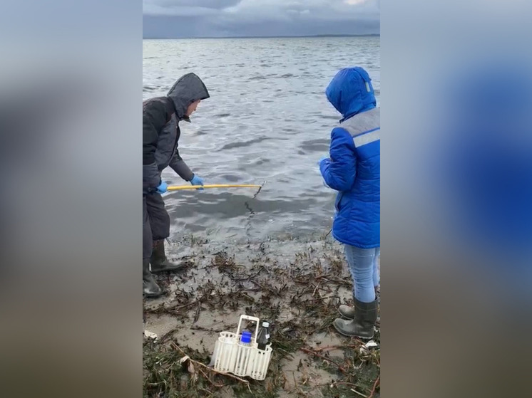 Светловский водоканал получил штраф в 146 миллиардов рублей за загрязнение Калининградского залива