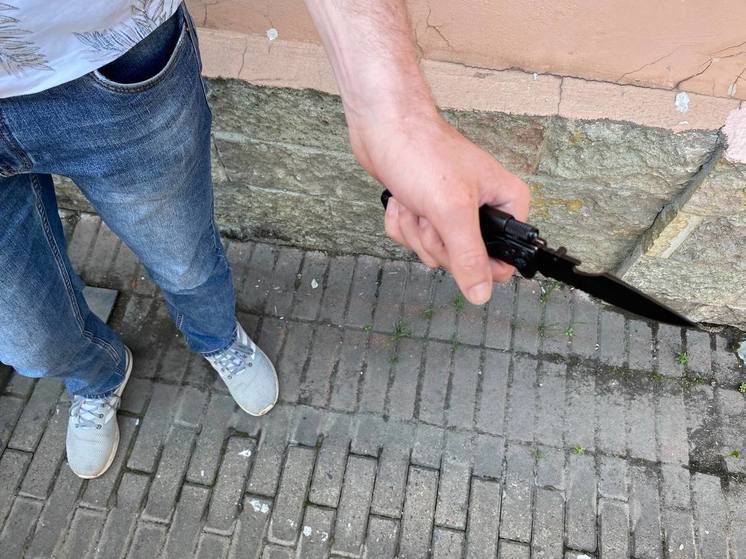 Подросток ударил ножом собутыльника во время ссоры в деревне Журавлево