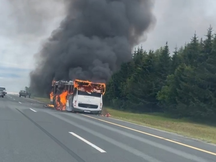 Очевидцы сняли полыхающий автобус на Новорижском шоссе под Волоколамском