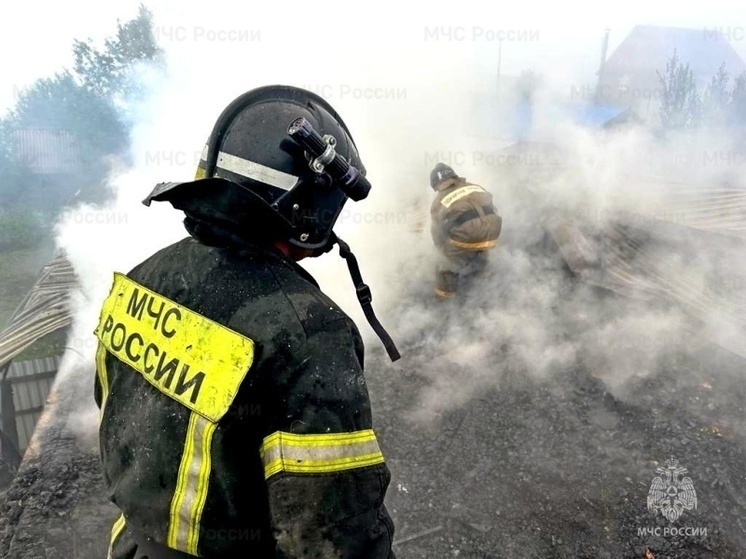 В Новосибирске с начала 2023 года произошло около 1500 пожаров
