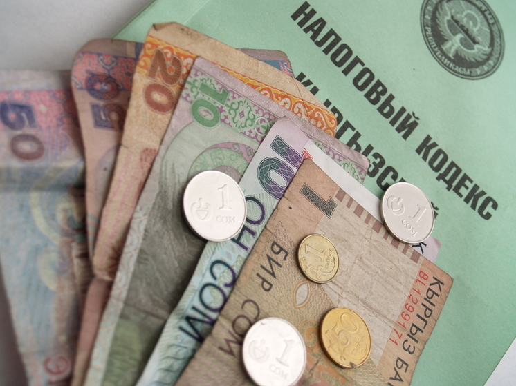 Кыргызстанцам необходимо уплатить налоги до сентября
