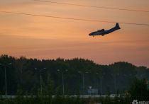 Пассажирский самолет, вылетевший сегодня утром из Новокузнецка в Москву, совершил вынужденную посадку в Новосибирске