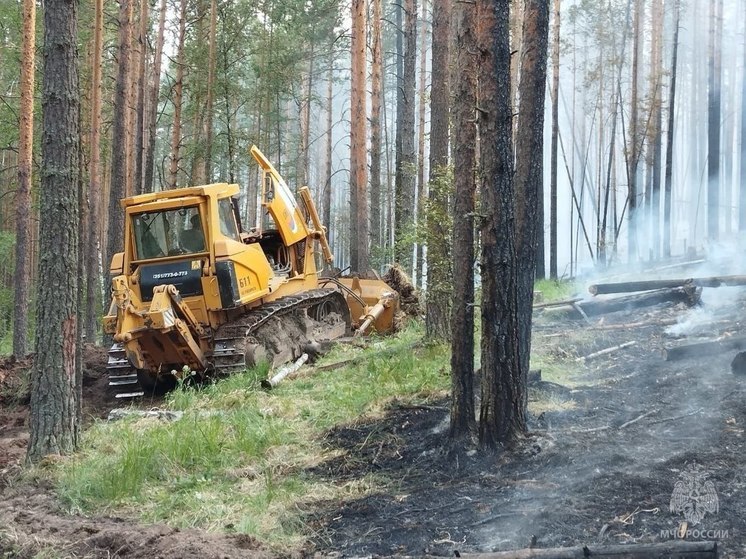 Роспотребнадзор Башкирии не нашел превышения вредных веществ вблизи лесного пожара