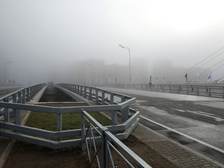 В Новгородской области ремонтируют пять мостов в четырех районах