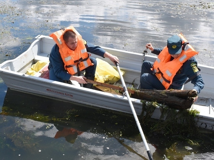 В центре Пензы отчистили водную гладь Суры от мусора и веток