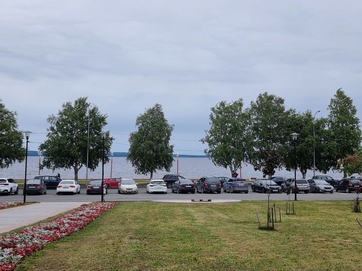 Влюбленные сердца исчезли от ЗАГСа в Петрозаводске