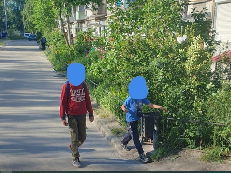 Дети в Карелии закидали камнями старика