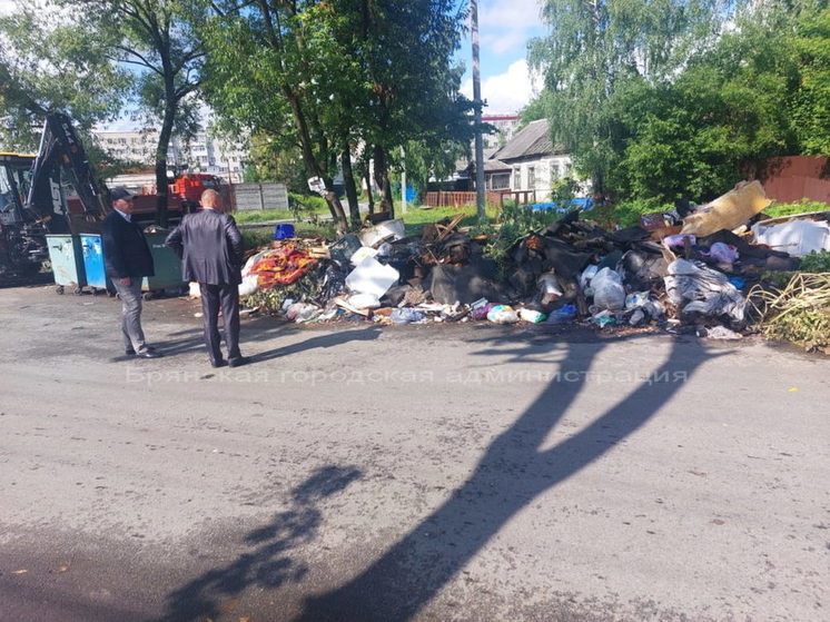 Брянские власти вернулись к вопросу обслуживания контейнерных площадок