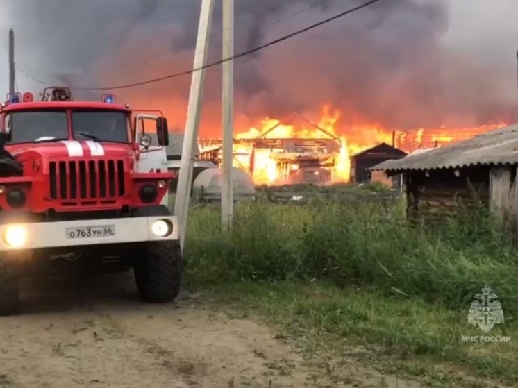 Локализован крупный пожар в свердловском селе, жителей которого эвакуировали