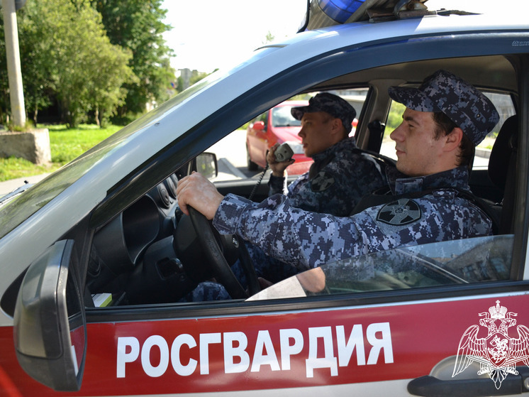 В мурманском баре задержали хулигана