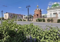 В Омскую область пришла невыносимая жара