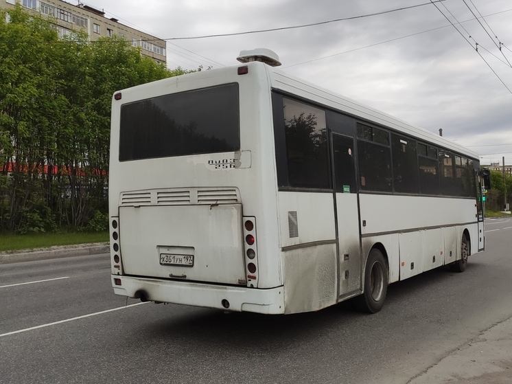 Пассажир автобуса в Калининградской области побил водителя