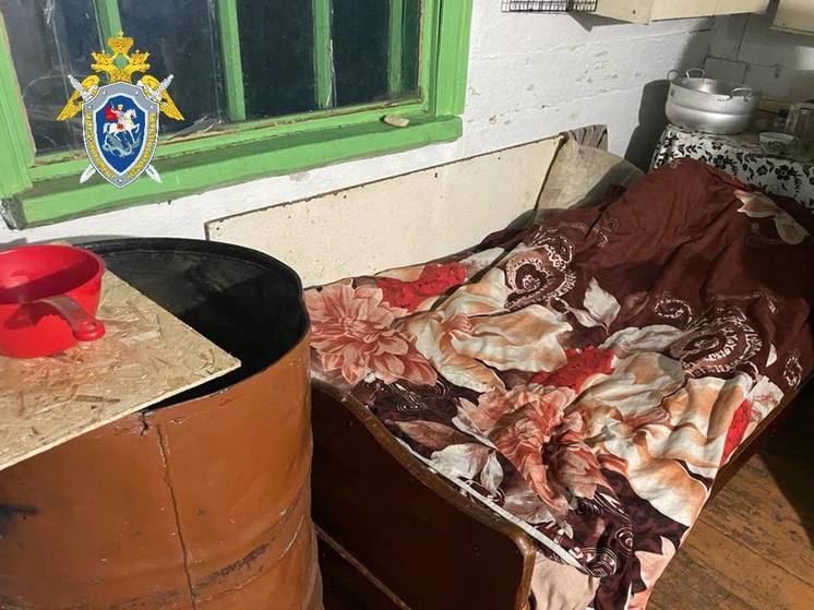 Полуторогодовалый ребенок утонул в баке с водой в селе Забайкалья