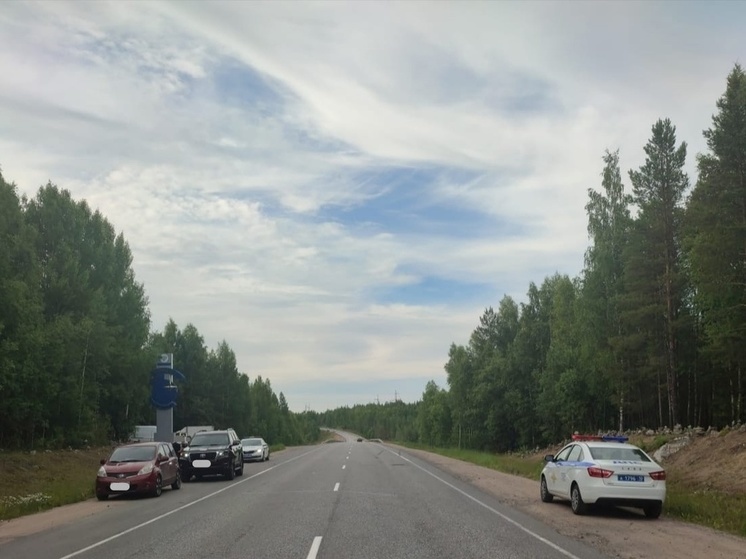 Появилось фото с места ДТП в Карелии, где погибла 8-летняя девочка