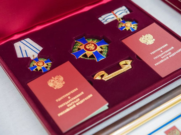 Многодетную семью из Оленегорска наградили орденом «Родительская слава»