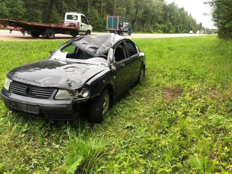 В Тверской области ночью на М-10 иномарка сбила лося, пересекавшего дорогу