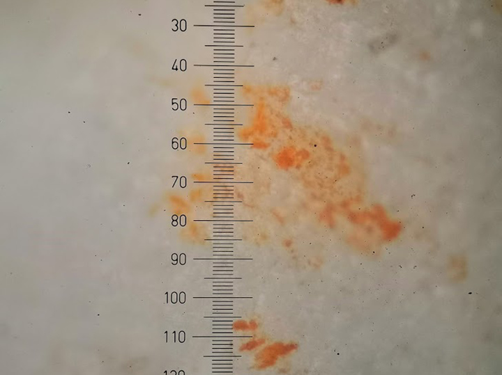 Российские ученые исследовали полотенце с пылью из открытого космоса2