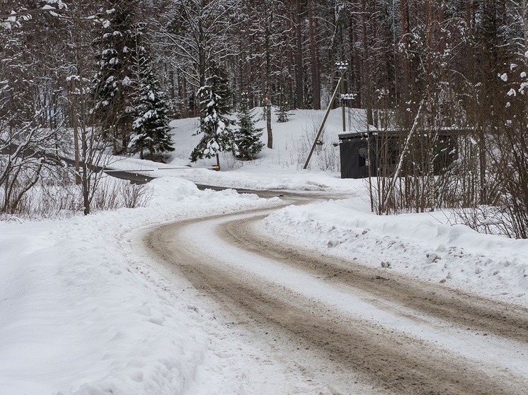 Незаконные дороги стали угрозой для национального парка в Карелии