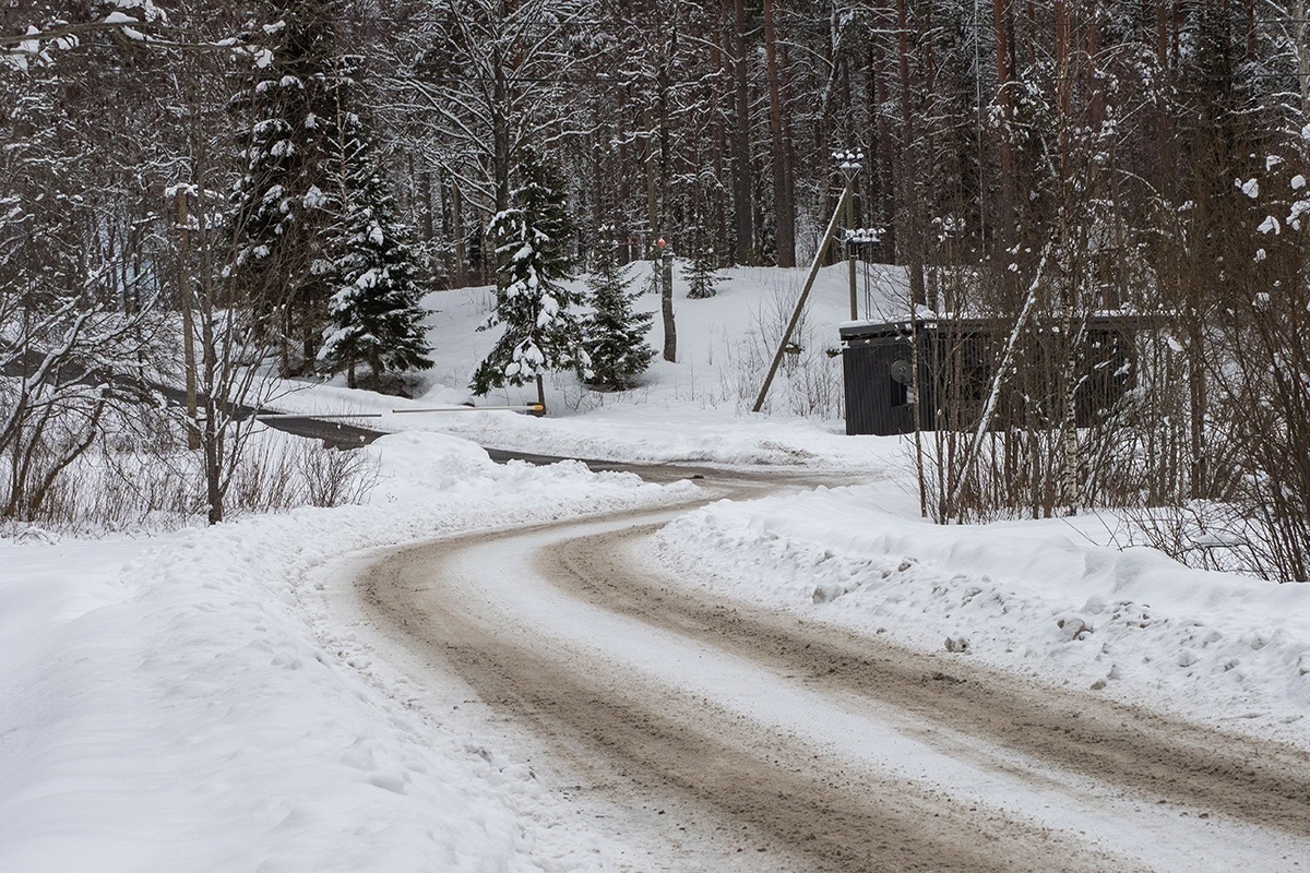 Незаконные дороги стали угрозой для национального парка в Карелии