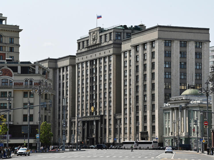 «Партизанское движение против уничтожения трансгендеров и ЛГБТ» пригрозило угрозой взрыва в Госдуме