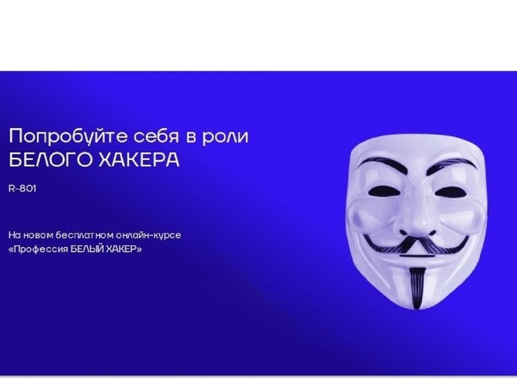 Владимирских айтишников приглашают стать «белыми хаккерами»