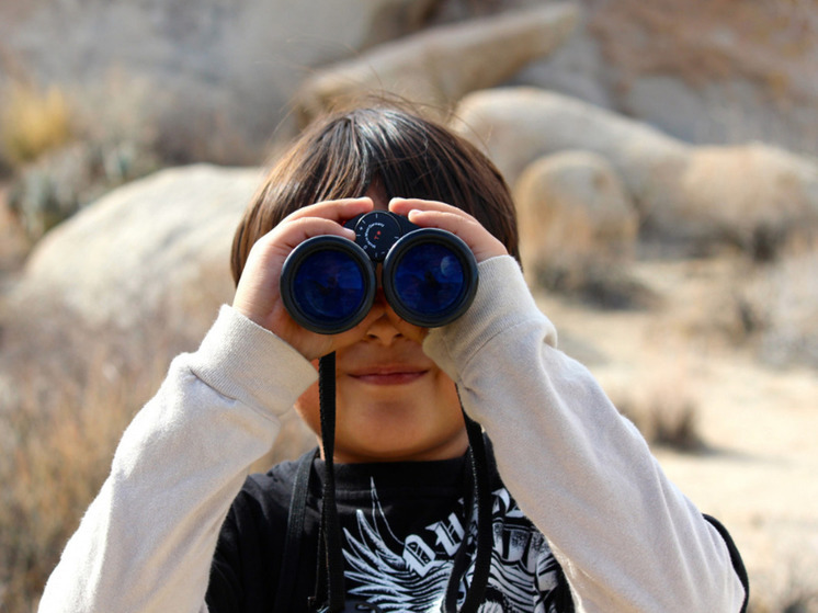 Посреди реки Белузейяха был зафиксирован горный гусь