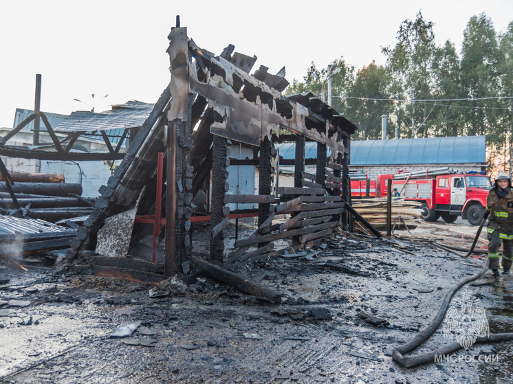 Под Смоленском сгорела пилорама