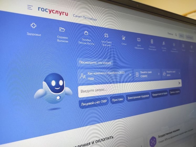 Полиция задержала петербуржца, создававшего липовые сайты «Госуслуг» и бравшего кредиты на россиян