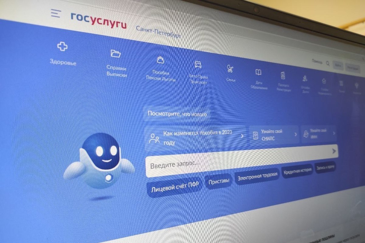 Полиция задержала петербуржца, создававшего липовые сайты «Госуслуг» и бравшего кредиты на россиян
