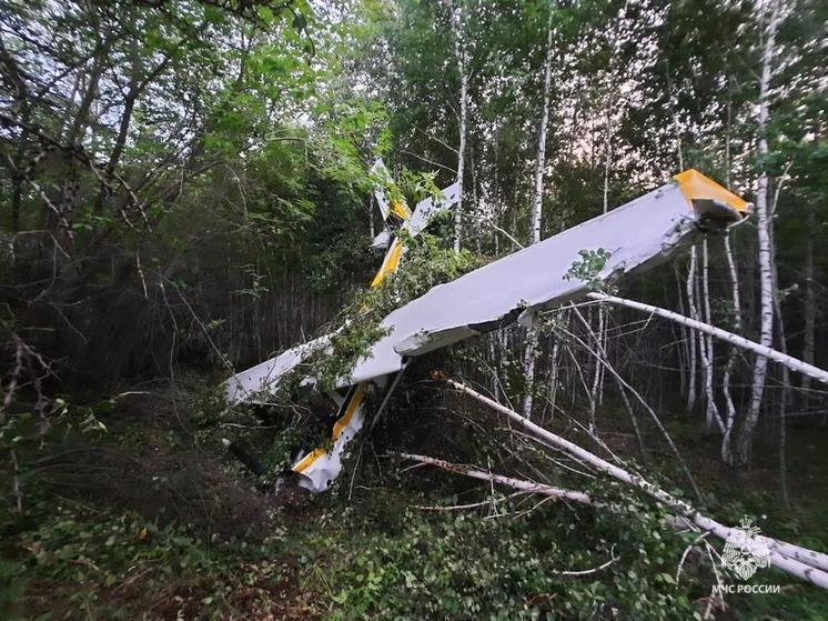 В Новосибирске опубликовали фото упавшего легкомоторного самолета