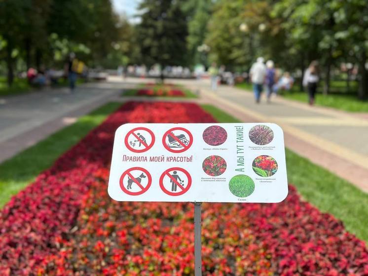 На реконструированных клумбах в Белгороде установят 22 информационные таблички