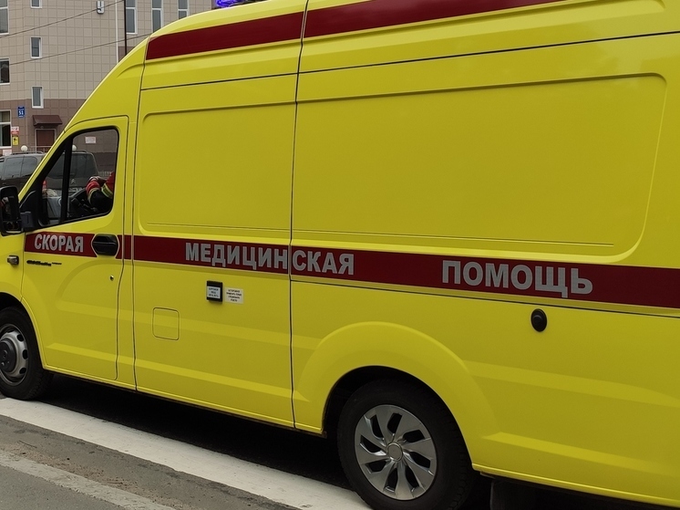 В Мурманске мужчина пырнул парня ножом в шею
